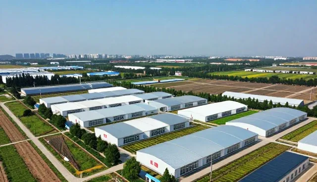 技术赋能下的信息平台应用实践与优化路径